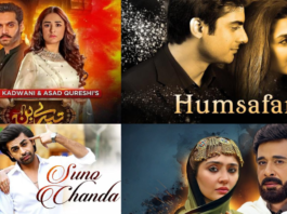 Why Is Pakistani Drama Becoming The New Binge Watching Trend?